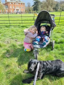 Dogs and kids at Hatchlands Park in Surrey