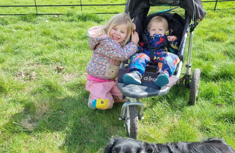 Dogs and kids at Hatchlands Park in Surrey