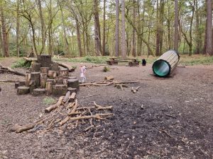 Play area at Witley Common