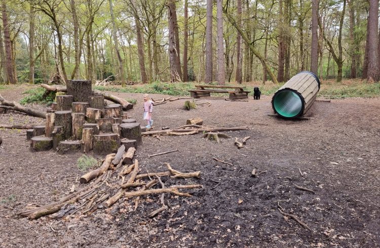 Play area at Witley Common