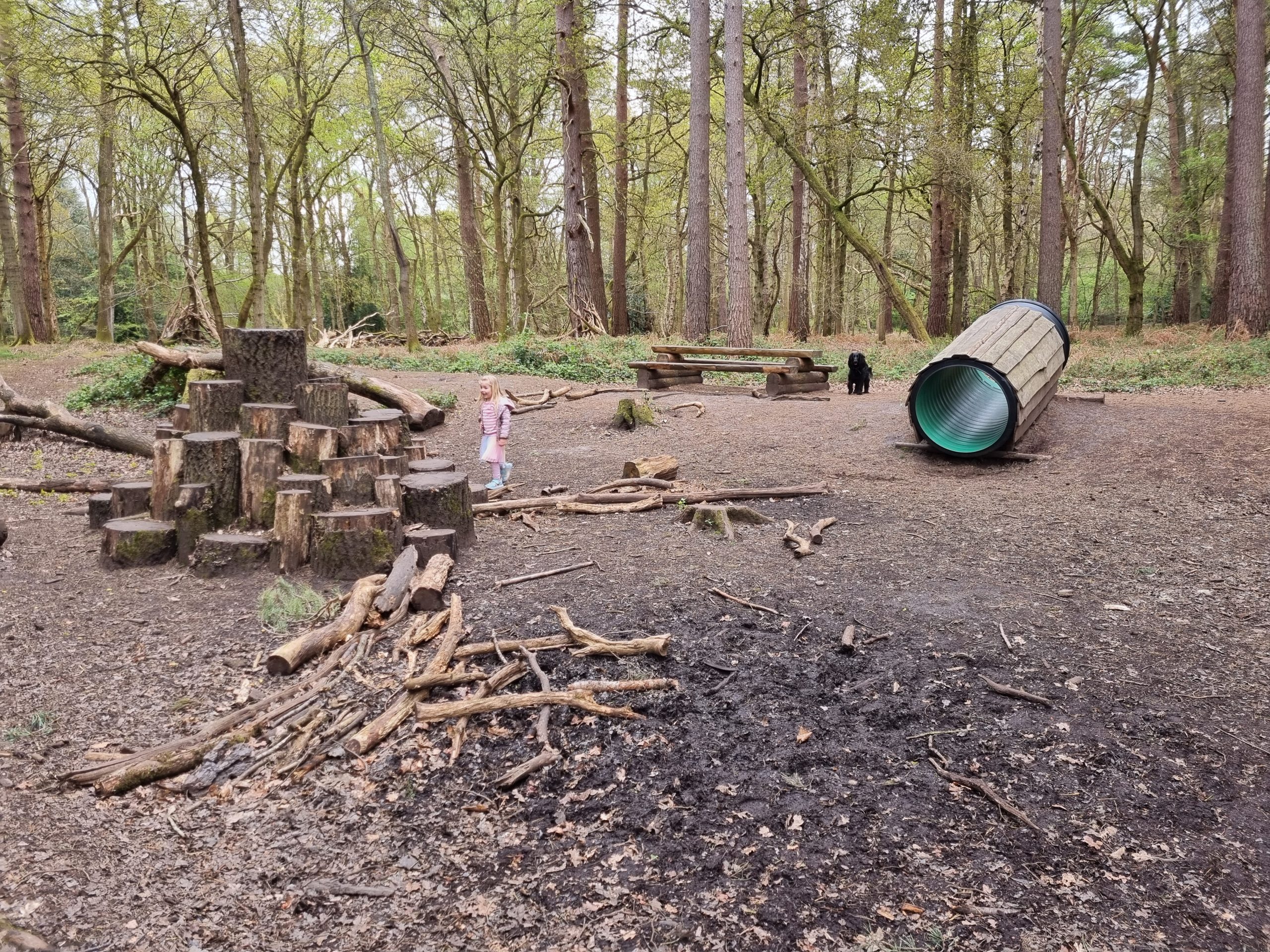 Play area at Witley Common